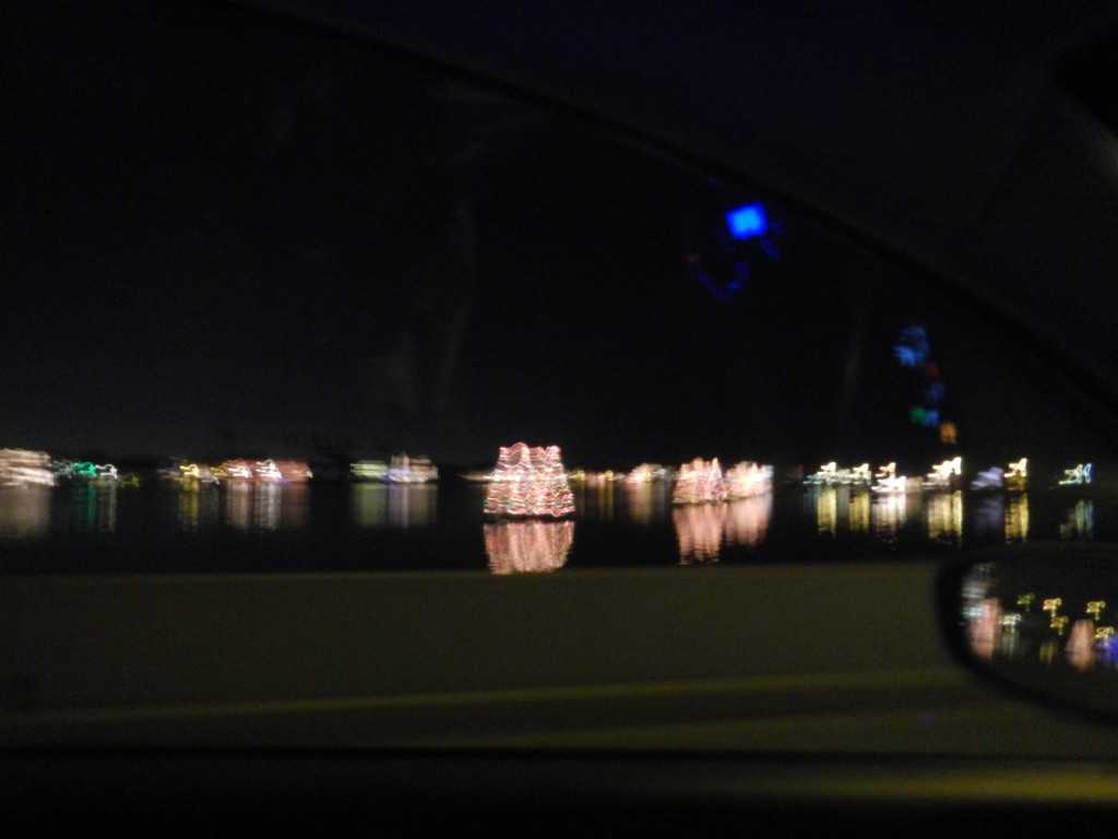 Christmas Trees of Light floating on the Bay.